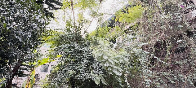 资中世茂宾馆图片