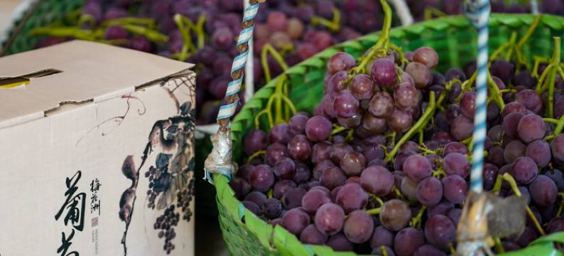 嘉兴梅花洲美宿图片