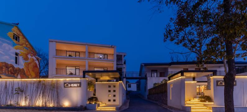 少间·梧桐下民宿(合肥汤池温泉旅游度假区店)图片