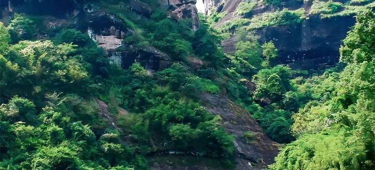 武夷山月明客栈(风景区南入口店)图片