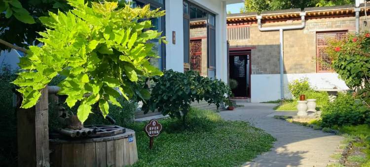 梧桐树下·茶宿(正定古城隆兴寺店)图片