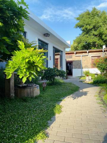 梧桐树下·茶宿(正定古城隆兴寺店)