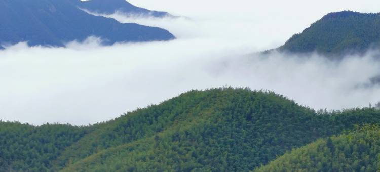 安吉知己民宿(江南天池店)图片