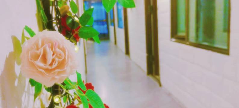 乌兰抚月民宿(茶卡店)图片