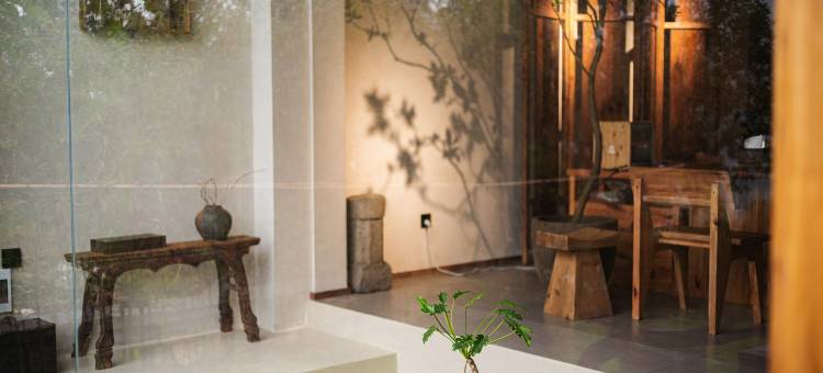 东江湖一凡居民宿图片