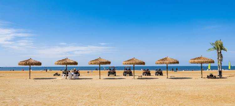 梧桐民宿(国际海水浴场日落湾店)图片