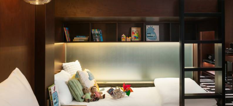极光中心酒店(Aurora Central Hotel)图片