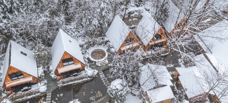 彭州挪威森林溪舍Forest hiking私汤民宿图片