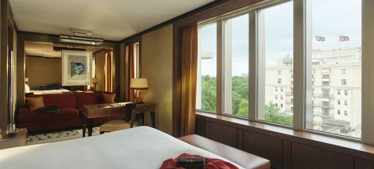 多切斯特精品连锁酒店公园巷45号店(45 Park Lane-Dorchester Collection)图片