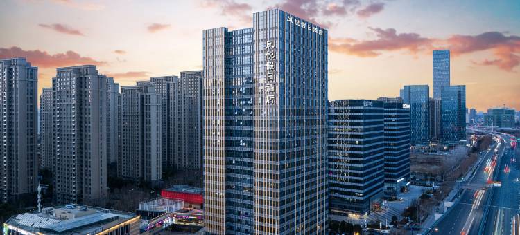 合肥南站凤悦假日酒店图片