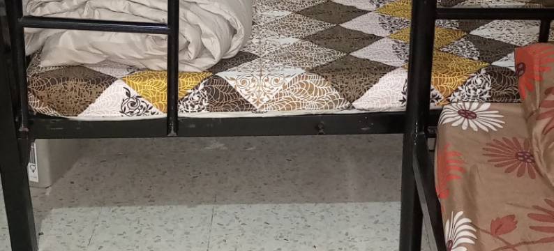 Cuzy haven backpackers图片