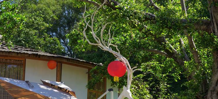 伴·山舍图片