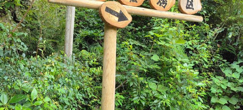 龙溪秘境民宿图片