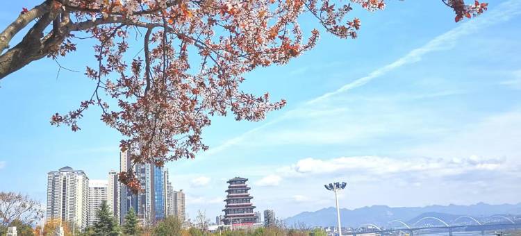 121未来酒店(安康市中心医院店)图片