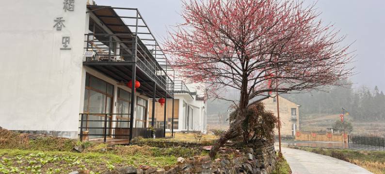 古竹山水精品民宿图片