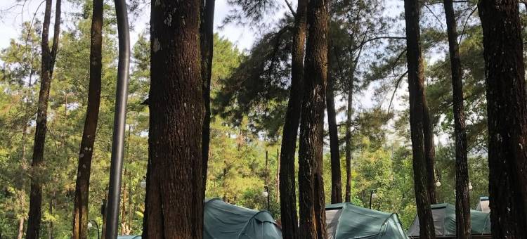Jolotundo Glamping and Edupark图片
