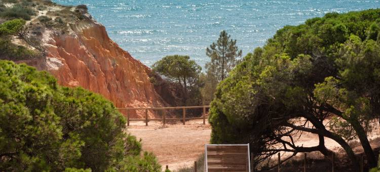 EPIC 桑纳阿尔加维饭店(Epic Sana Algarve Hotel)图片