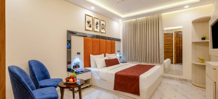 德里机场都市狮酒店(Hotel Urban Lion - Delhi Airport)图片