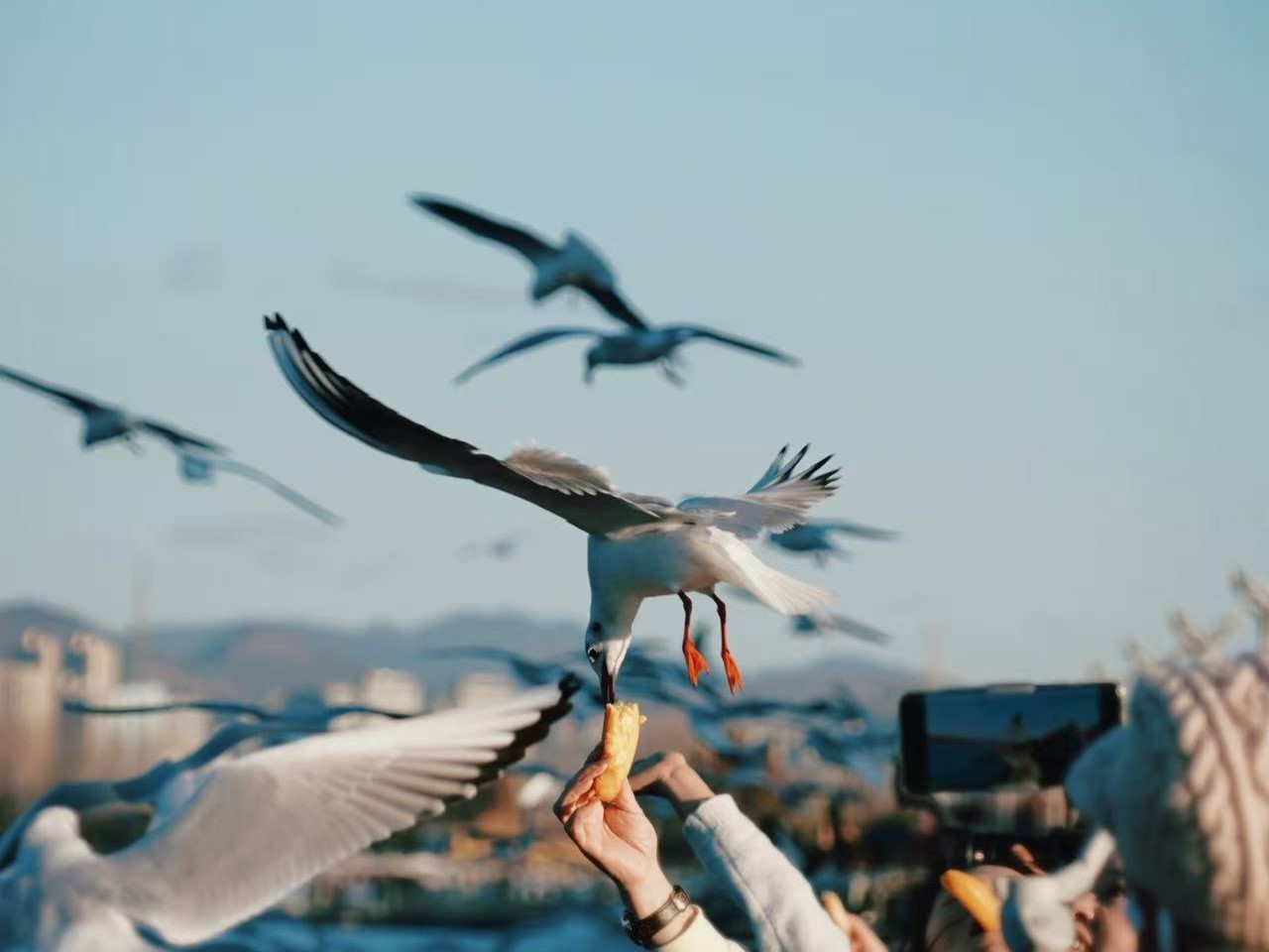 Song Hotel KunmingOver view