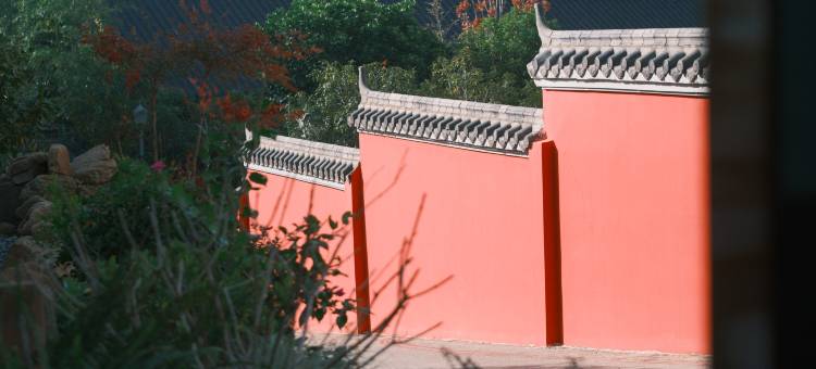 溪上璞院·森氧Vila度假民宿(景德镇陶瓷博物馆店)图片