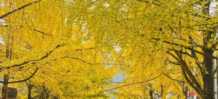 26号院子精品花园民宿图片