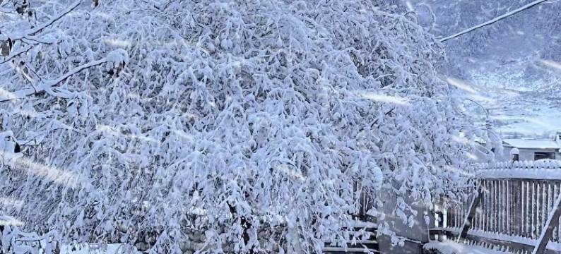 云孚里云宿·冶勒湖畔私汤民宿(冕宁冶勒湖店)图片