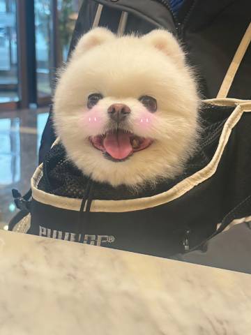 建国璞隐酒店(石家庄正定古城店)图片