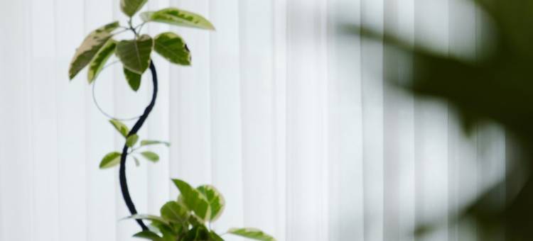 云枫酒店(通化集贸中心店)图片