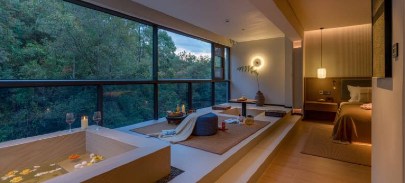 腾冲一善园硫磺温泉艺术度假美宿图片