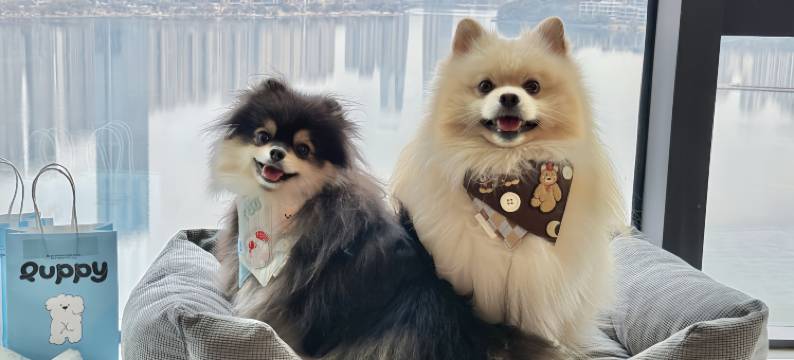 长沙梅溪湖万豪行政公寓酒店图片