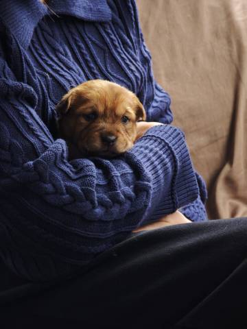 平潭奢野七墅·无界海·无边泳池风车海景度假民宿图片