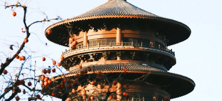 婺源·拾一庭·AWAKENING·SOULMATE观景亲子美宿(抱玉塔店)图片