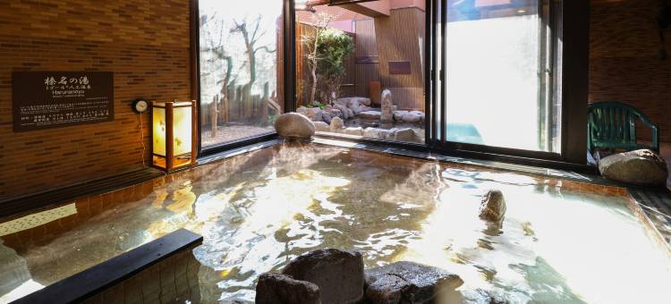 群马高崎多美迎酒店(多美迎・御宿野乃 酒店集团)(Dormy Inn Takasaki  Hot Spring)图片