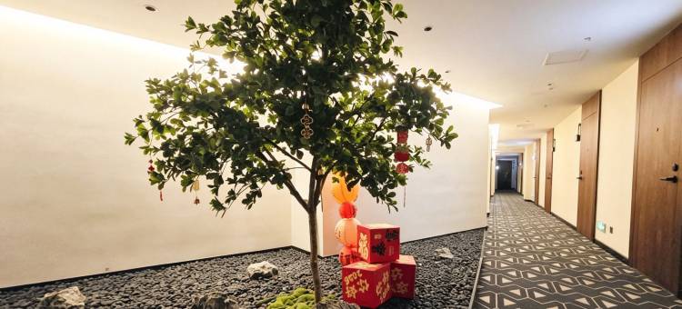 南行纪·露台花园酒店(五一广场贺龙体育馆店)图片
