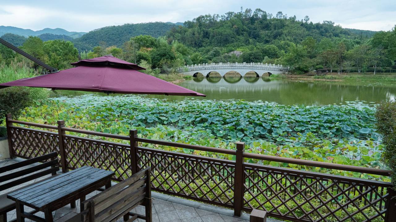 武夷山大红袍山庄(景区南入口店)图片