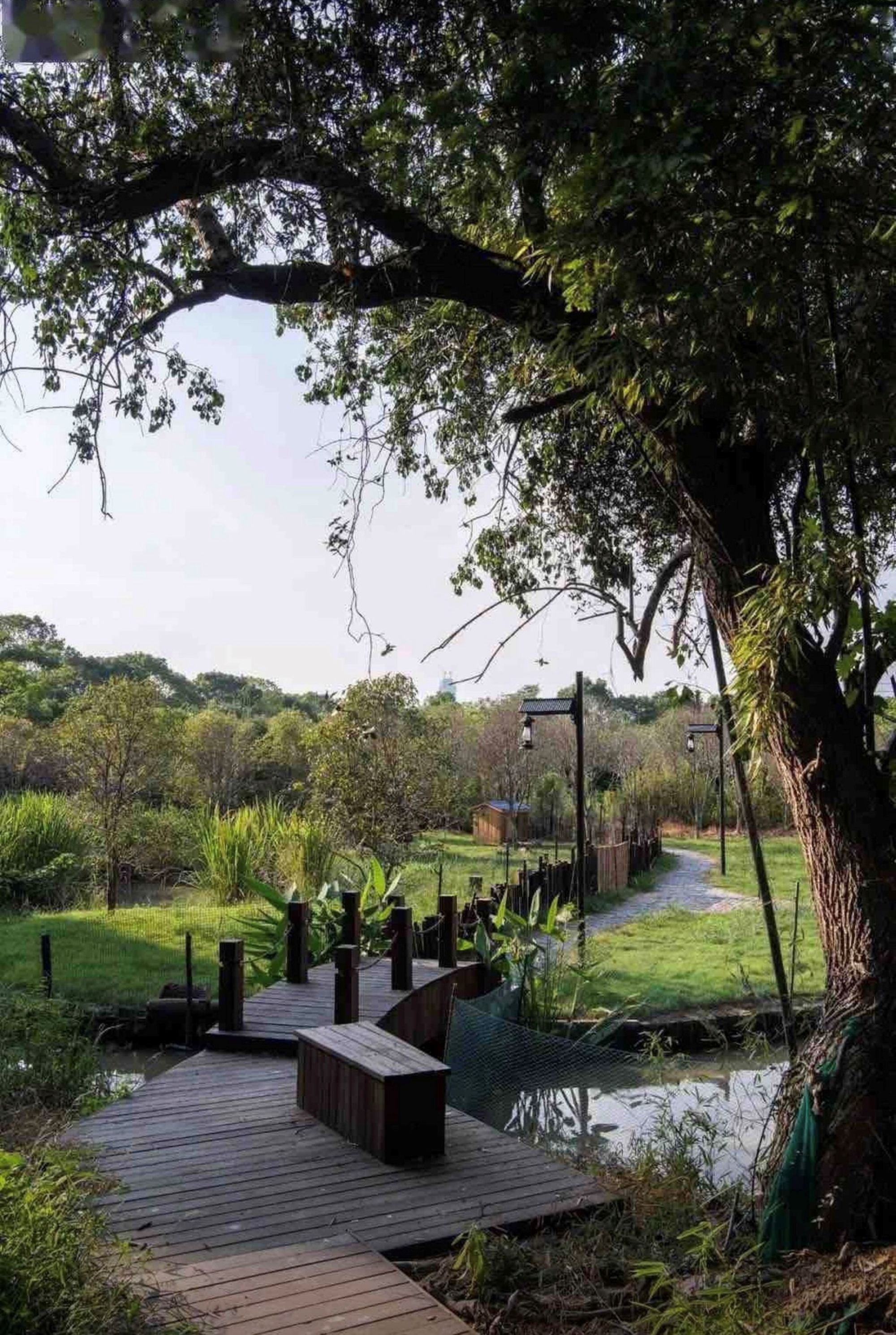 by Sunny Hotel Over view