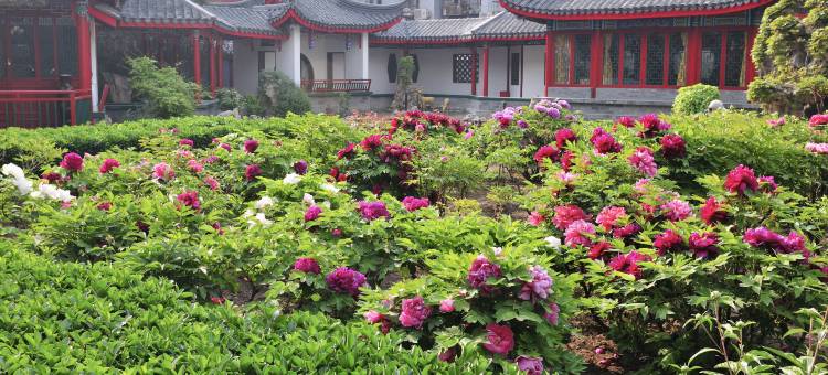 北京月坛宾馆图片