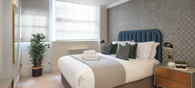 梅费尔 – 彼得森之家(Mayfair- Peterson House)图片