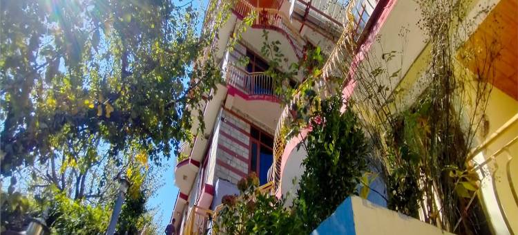 马拉里的Antriksh山舍(Antriksh Cottage Manali)图片