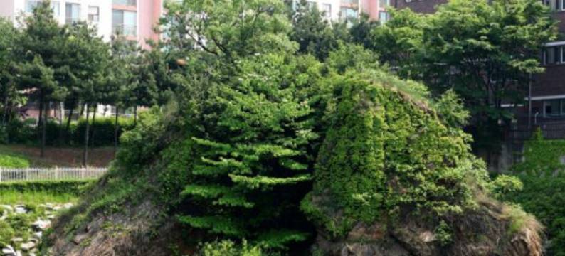 新蓝明公寓酒店(BlueMing New Residence)图片