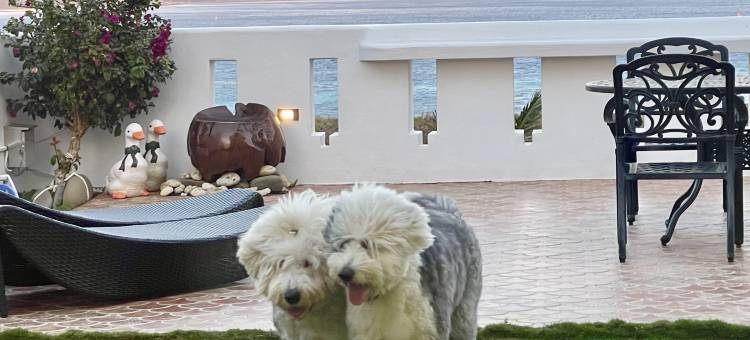 小径民宿-后壁湖海景馆图片