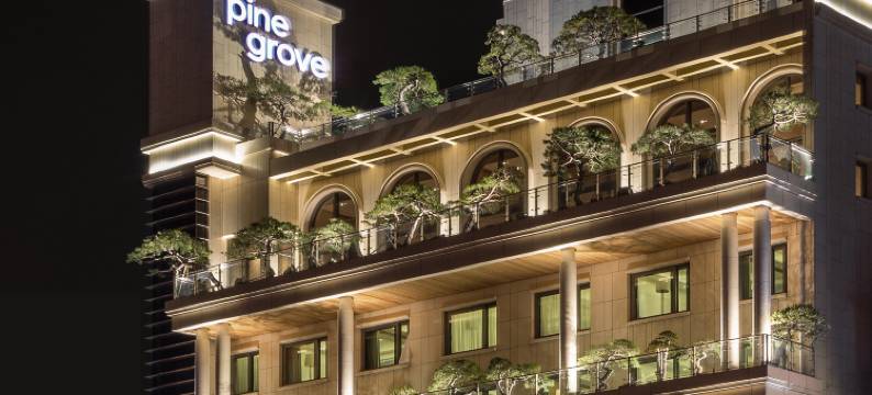 松林酒店(Pinegrove Hotel)图片