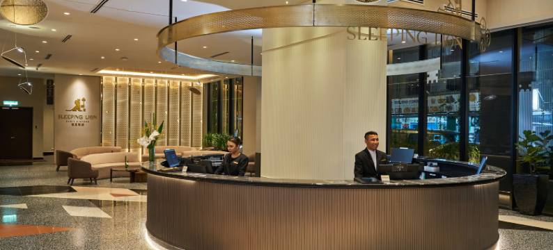 莱恩酒店(Sleeping Lion Suites)图片