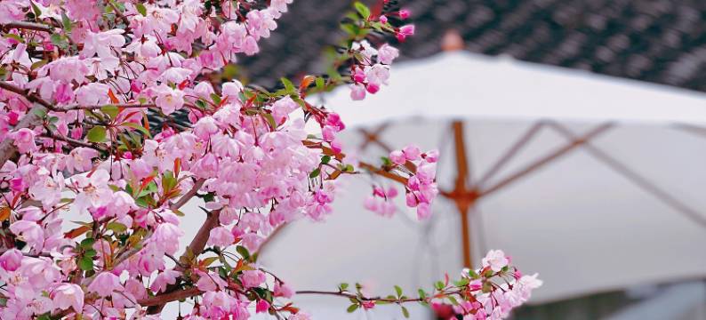 乌镇那年晚村CourtyardGetaway民宿(东栅景区西门西栅景区南门店)图片