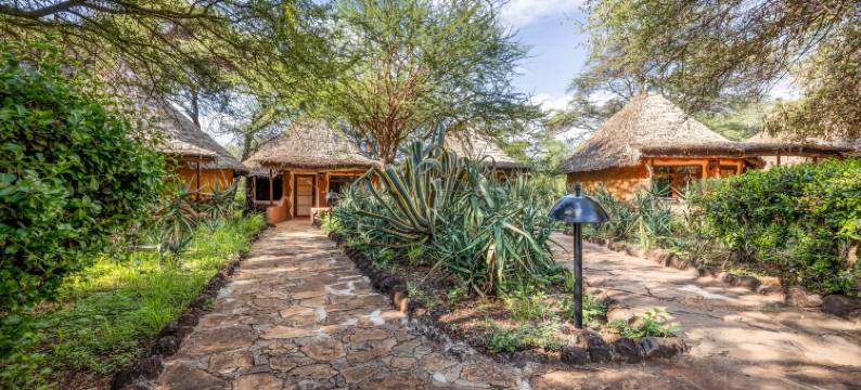 安博塞利索帕山林小屋(Amboseli Sopa Lodge)图片