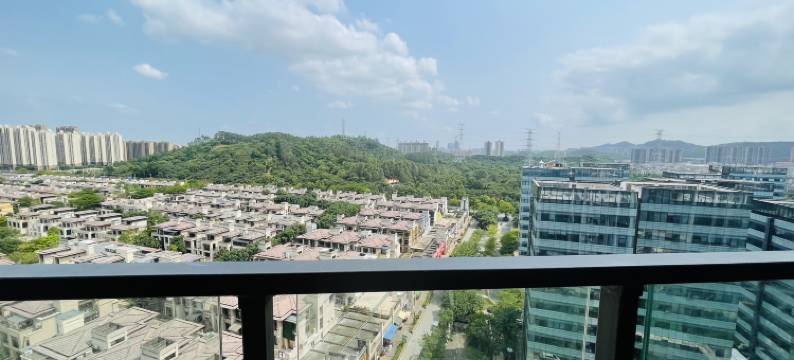 莱卡度假公寓(广州钧明欢乐世界店)图片