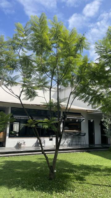 沐山汐·大理古城朴语民宿