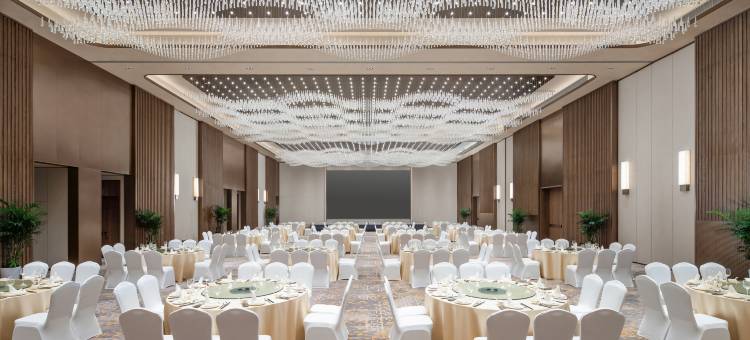 杭州大会展中心假日酒店图片