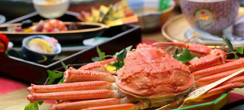 佳翠苑皆美酒店(Kasuien Minami)图片
