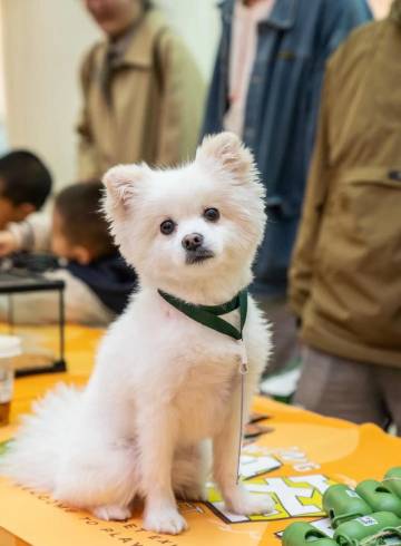 花筑·育青阁恒园酒店(同里店)图片